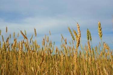 Similar image 814056