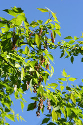 Similar image 814058