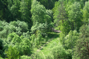 Similar image 814061