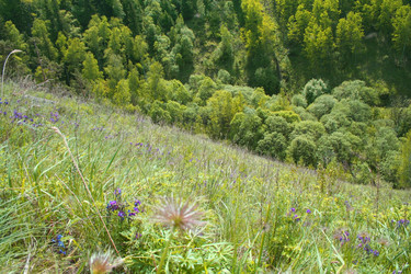 Similar image 814062