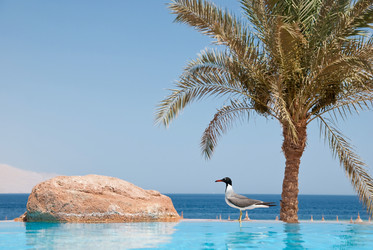 Similar image 814076