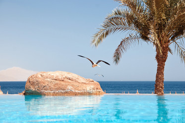 Similar image 814077