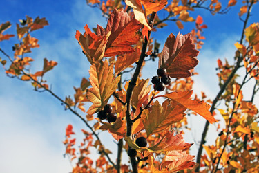 Similar image 814141