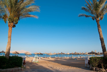 Similar image 814152