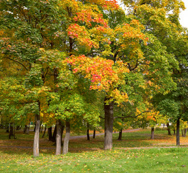 Similar image 814157