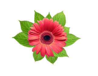 Similar image 814162