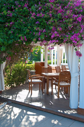 Similar image 814234