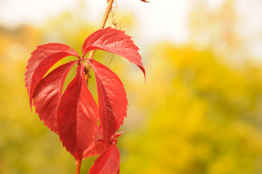 Similar image 814257