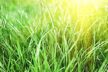 Similar image 814329