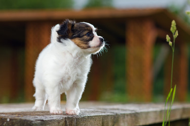 Similar image 814331