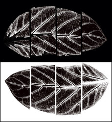 Similar image 814464