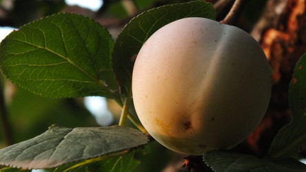 Similar image 814489