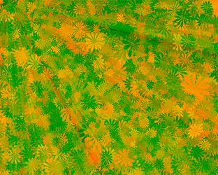 Similar image 814554