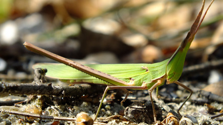 Similar image 814571