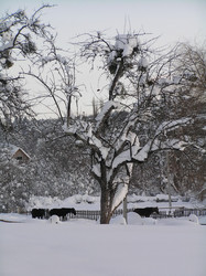 Similar image 814609