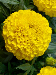 Similar image 814631