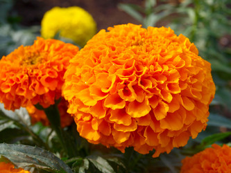 Similar image 814635