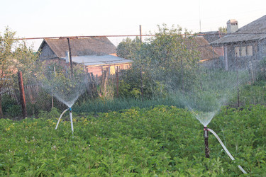 Similar image 814642