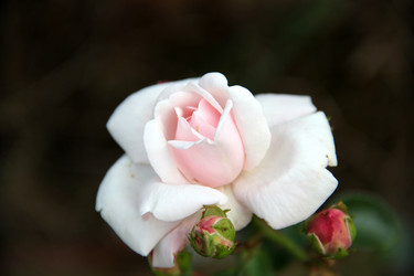 Similar image 814643