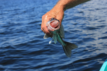 Similar image 814654