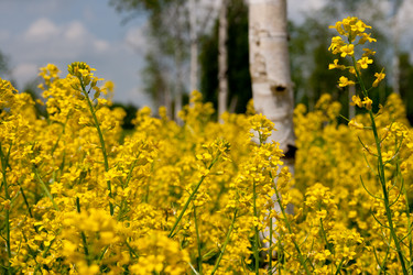 Similar image 814660