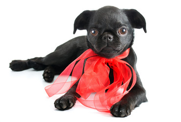 Similar image 814661