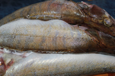 Similar image 814662