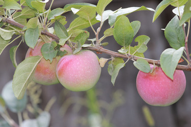 Similar image 814679