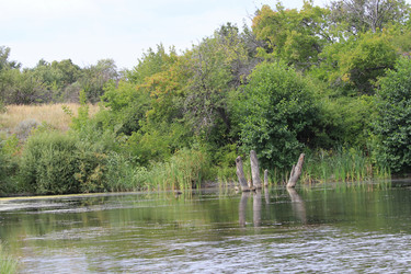 Similar image 814680