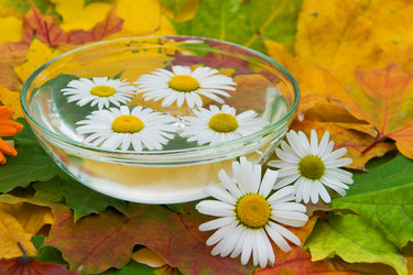 Similar image 814684