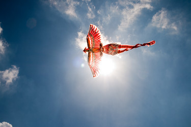 Similar image 814687