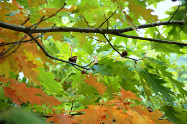 Similar image 814713