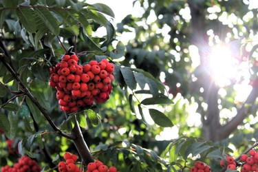 Similar image 814724