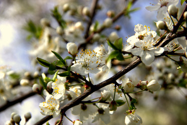 Similar image 814726