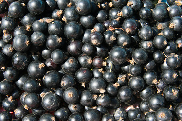 Similar image 814737