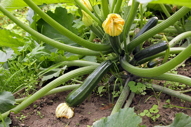 Similar image 814745