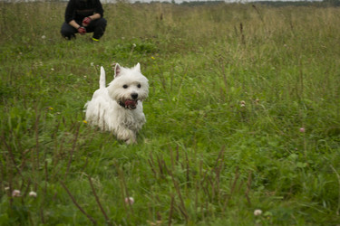 Similar image 814748