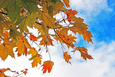 Similar image 814882