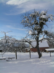 Similar image 814897