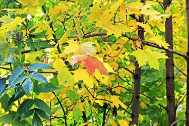 Similar image 814898