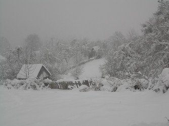 Similar image 814901