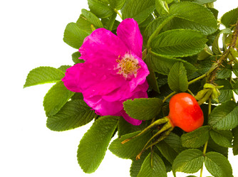 Similar image 814911