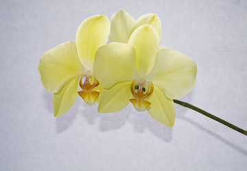 Similar image 814924