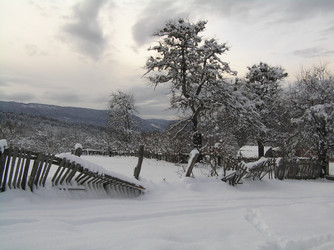 Similar image 814950