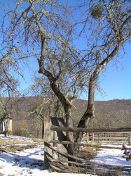 Similar image 814982