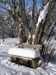 Similar image 814999