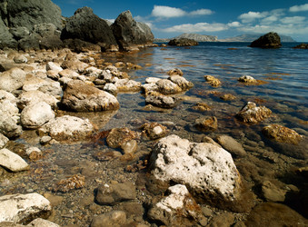 Similar image 815001