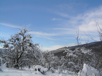 Similar image 815013