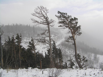 Similar image 815023