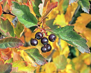 Similar image 815052